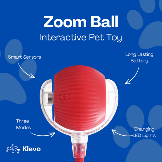 Zoom Ball - The Ultimate Interactive Toy for Cats & Dogs!